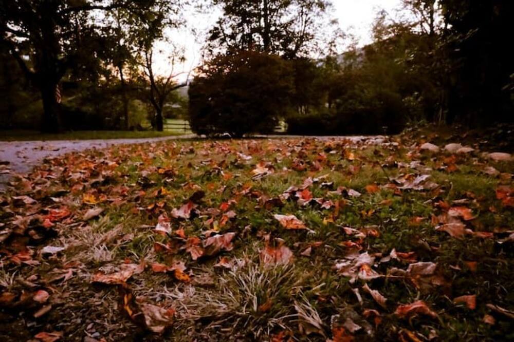 Photo of Outdoor in Mills River