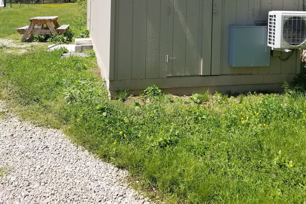 Photo of Outdoor in Wilder