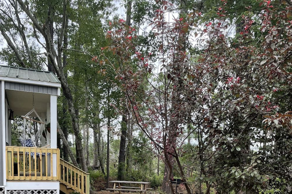Photo of Outdoor in Myrtle Grove