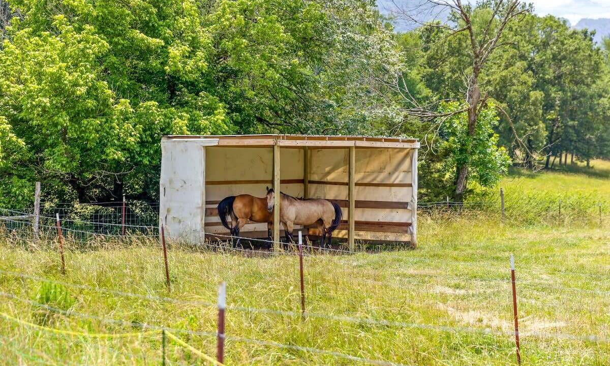 Photo of Outdoor in Lookout Valley Neighborhood Association