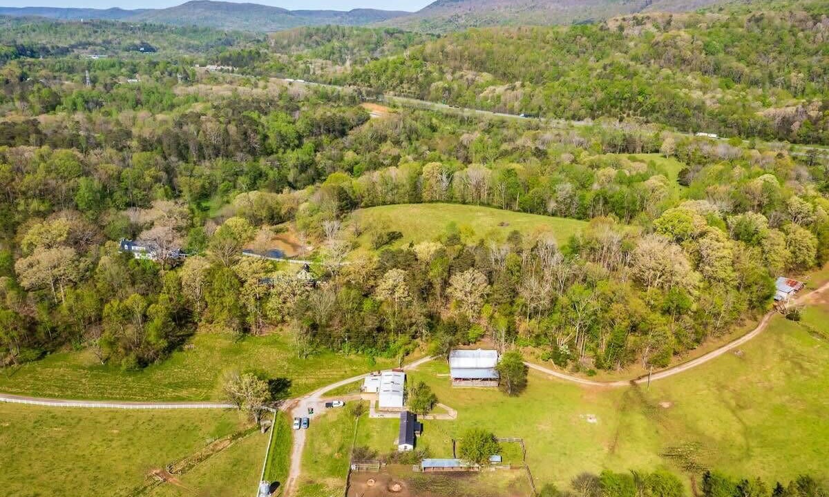 Photo of Outdoor in Lookout Valley Neighborhood Association
