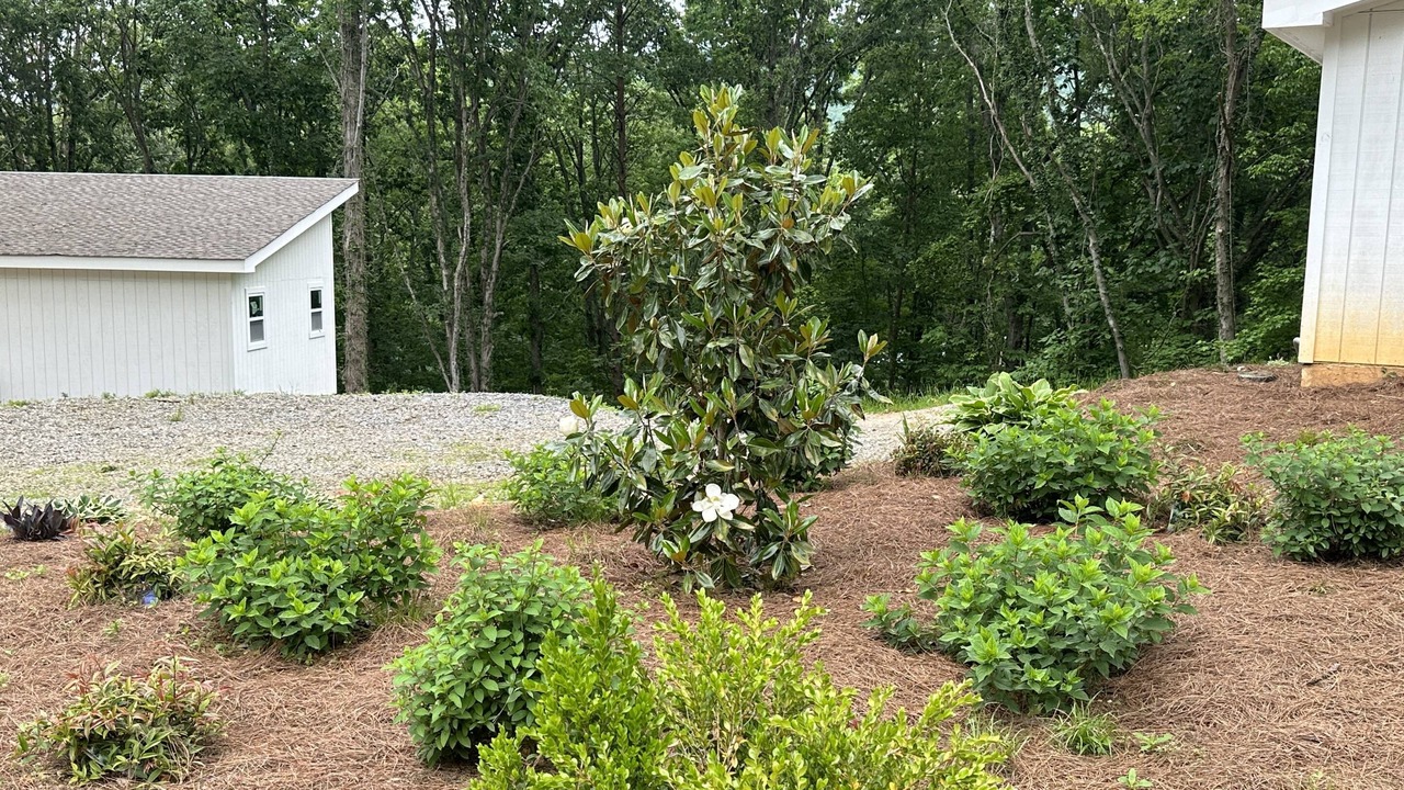 Photo of Outdoor in Wildwood