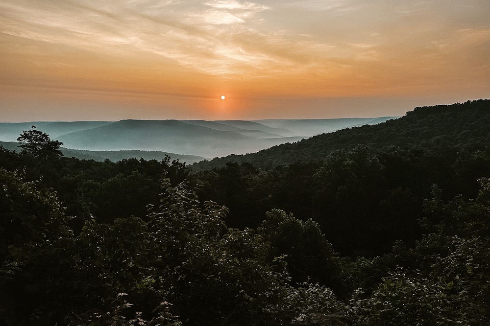 Photo of Others in Sewanee