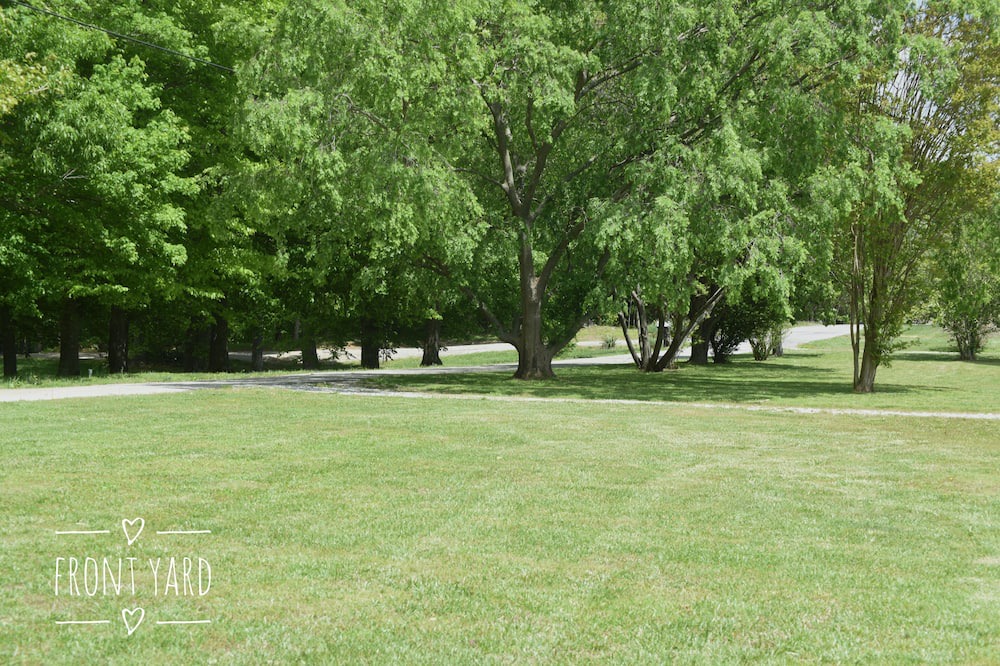 Photo of Outdoor in Allons