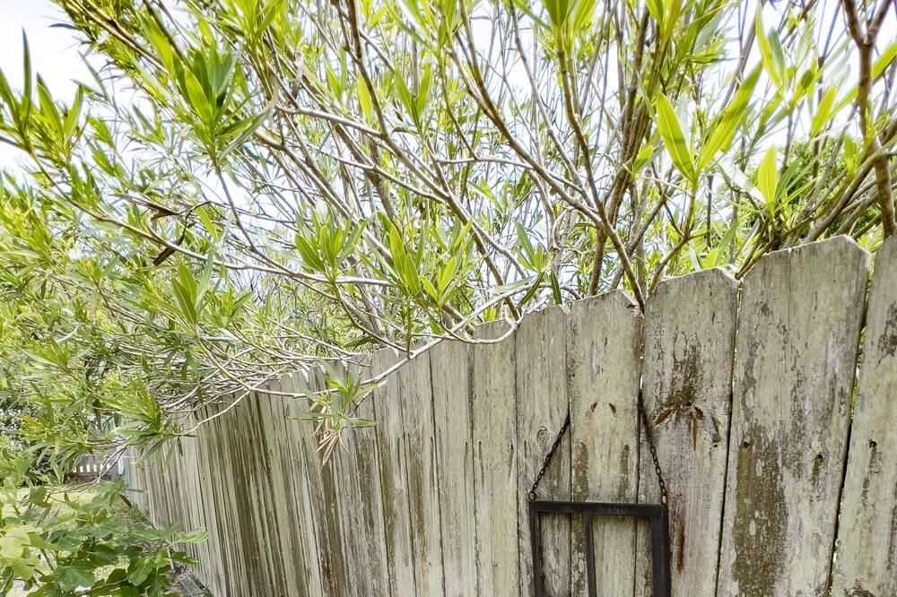 Photo of Outdoor in Morehead City