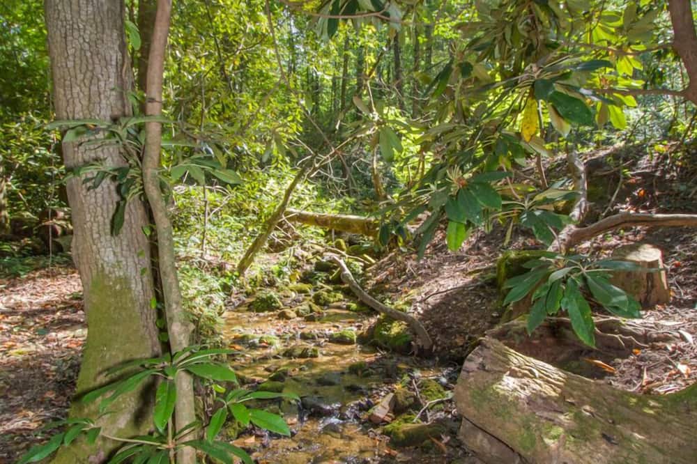 Photo of Outdoor in Rocky Bottom