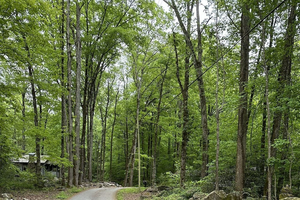 Photo of Outdoor in Rocky Bottom
