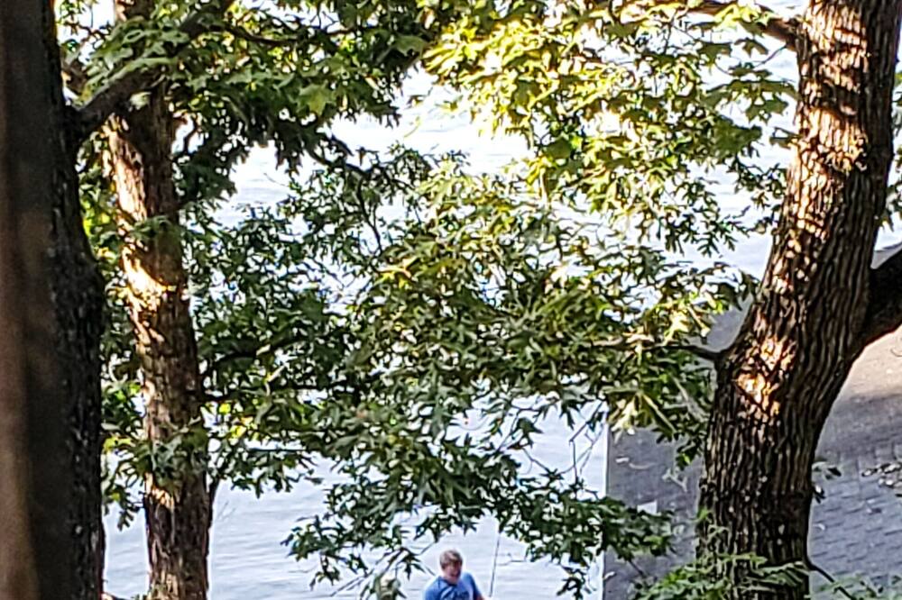 Photo of Others in Goodview