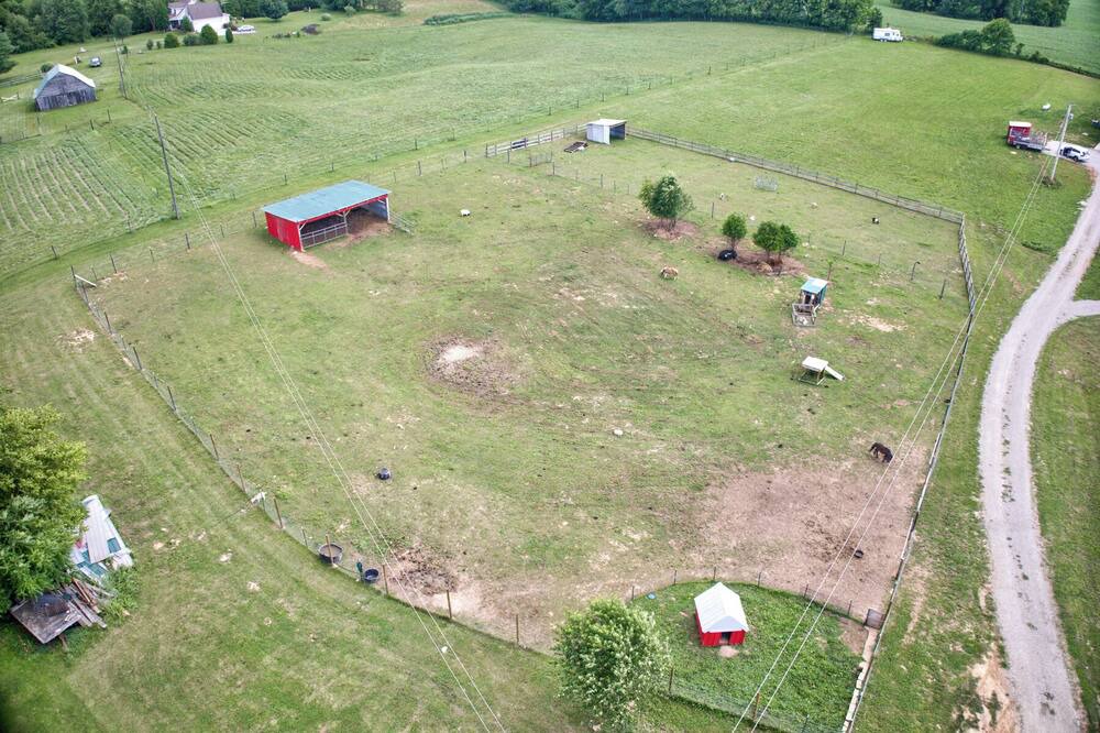 Photo of Outdoor in White Mills
