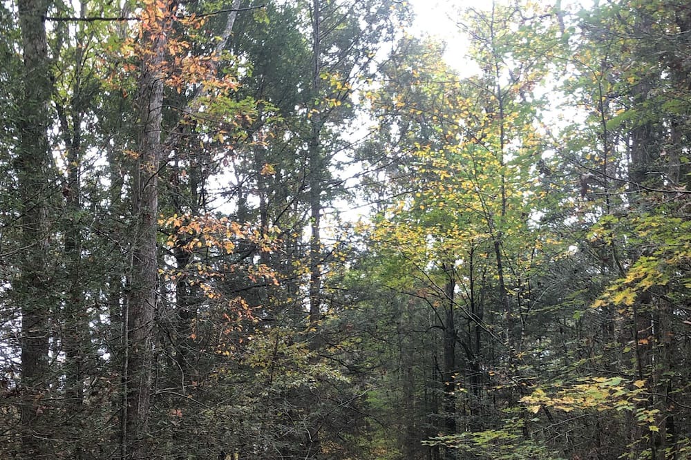 Photo of Outdoor in Jamestown
