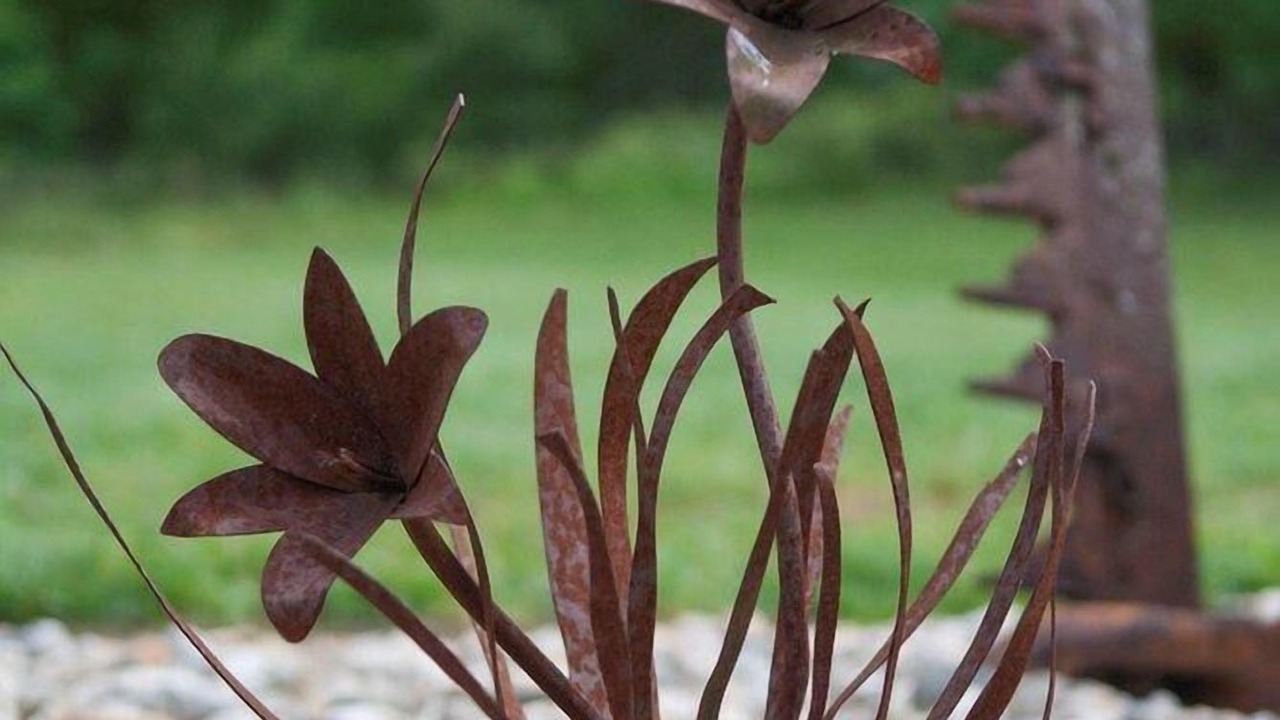 Photo of Outdoor in Roanoke