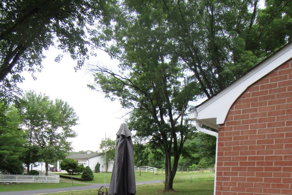 Photo of Outdoor in Rileyville