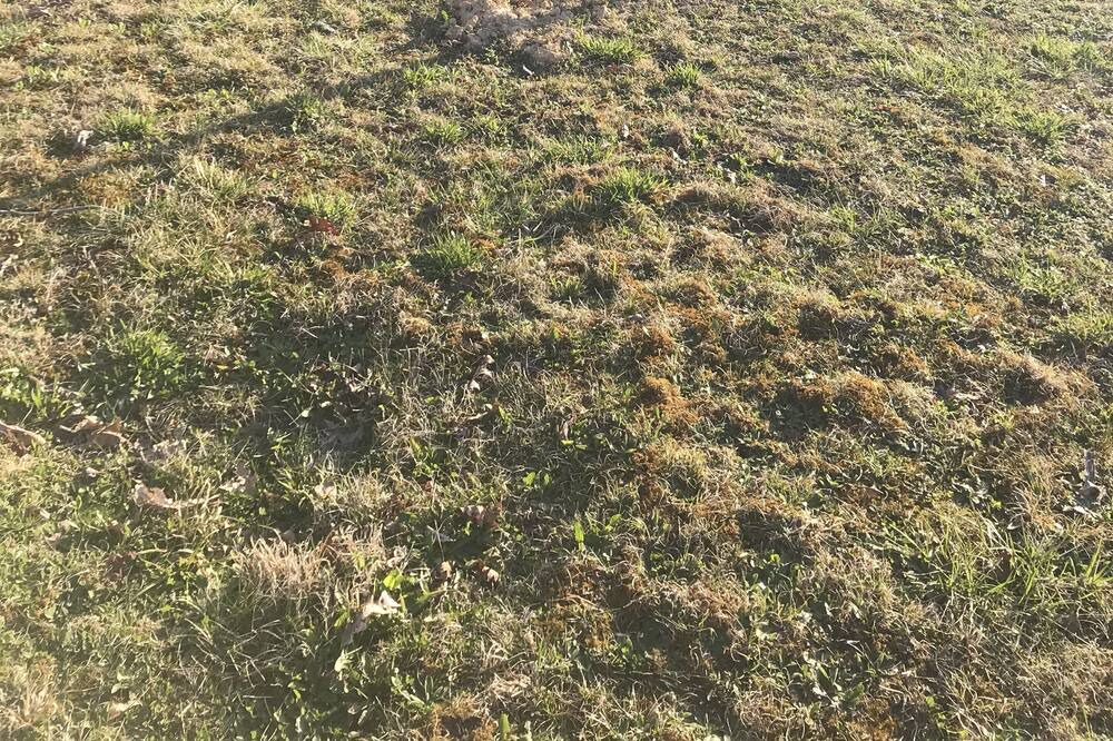 Photo of Outdoor in Pipestem