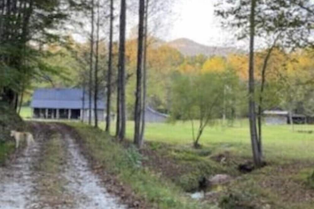 Photo of Outdoor in Pickens