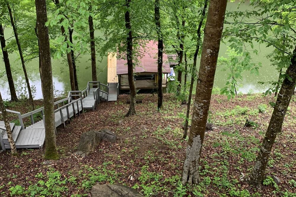 Photo of Outdoor in Sharps Chapel