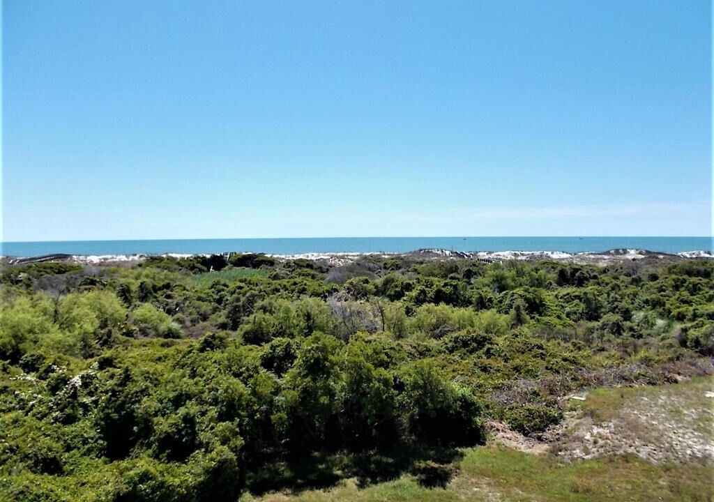 Photo of Others in Sunset Beach