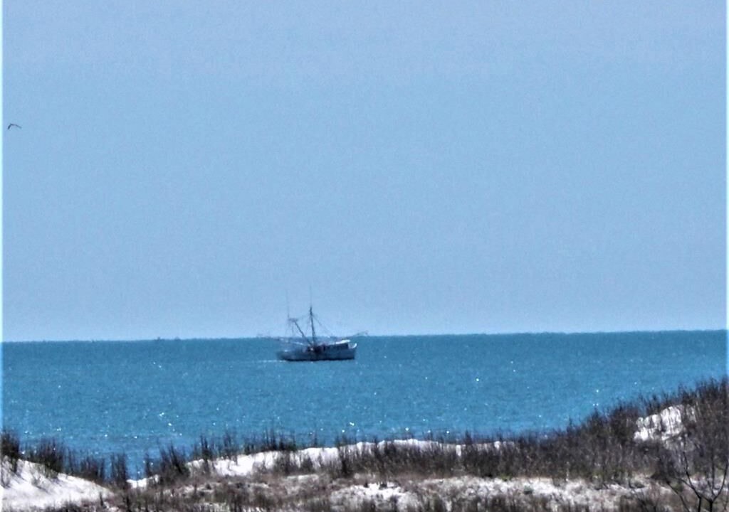 Photo of Others in Sunset Beach