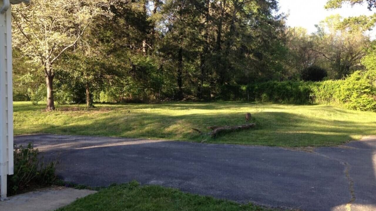 Photo of Outdoor in Knoxville