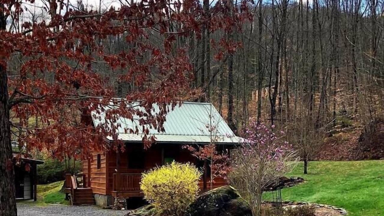Photo of Outdoor in Sylva