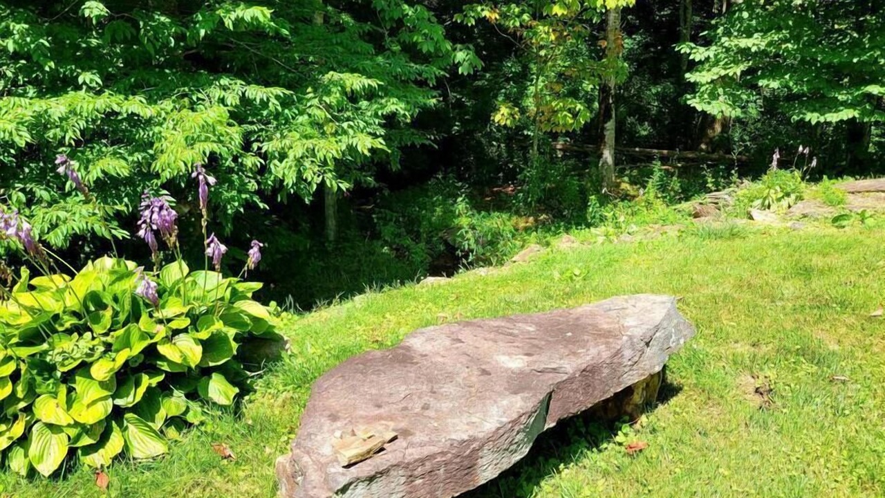 Photo of Outdoor in Sylva
