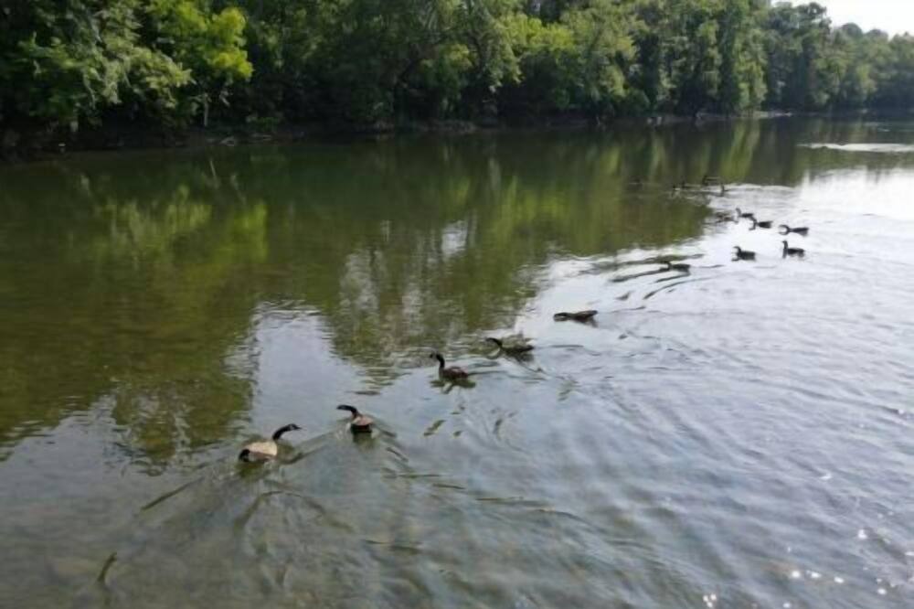 Photo of Others in Alderson