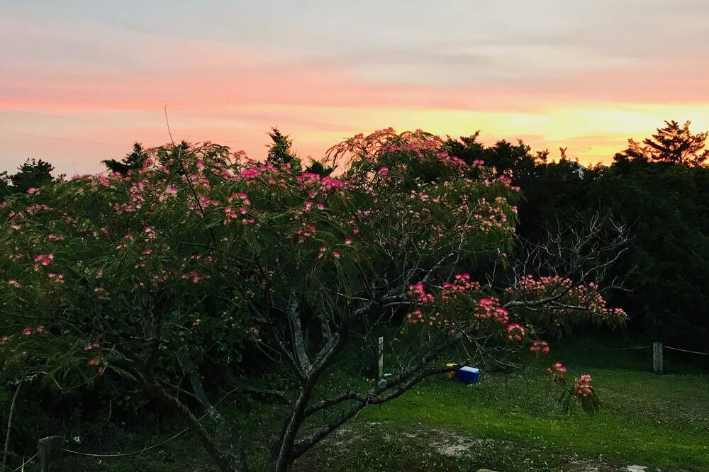 Photo of Outdoor in Rodanthe