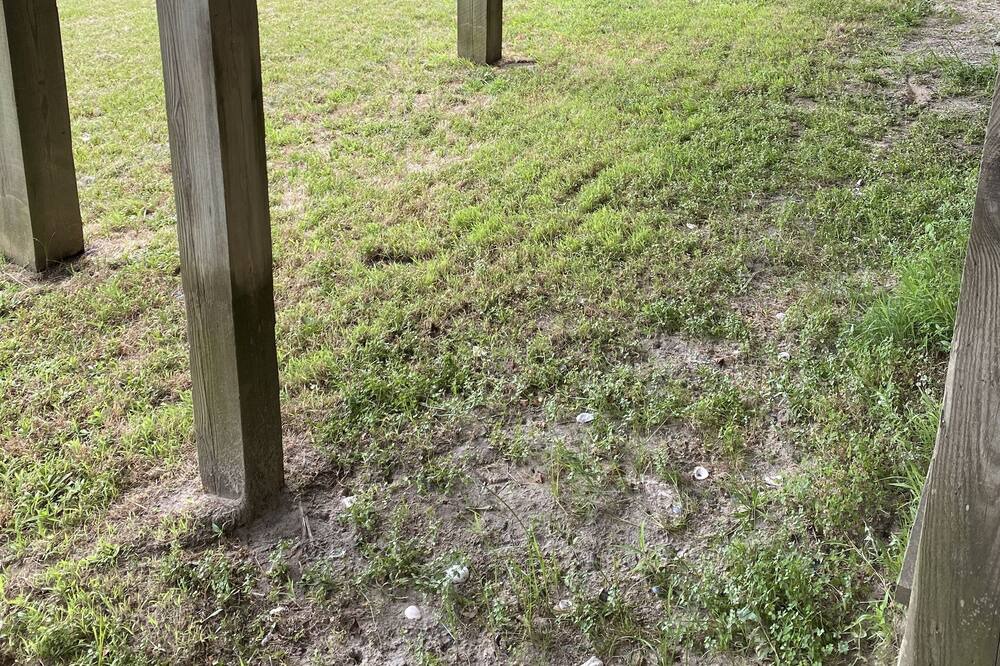 Photo of Outdoor in Rodanthe
