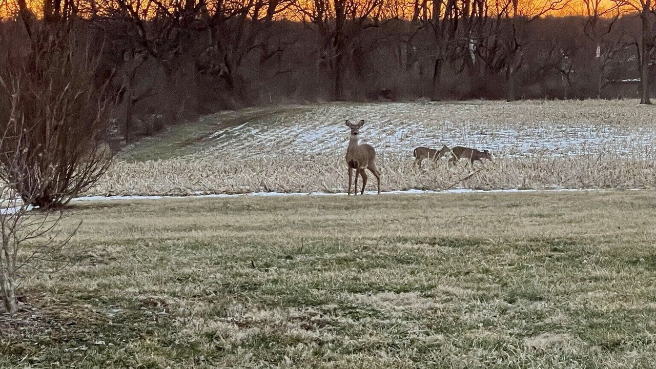 Photo of Outdoor in Speed