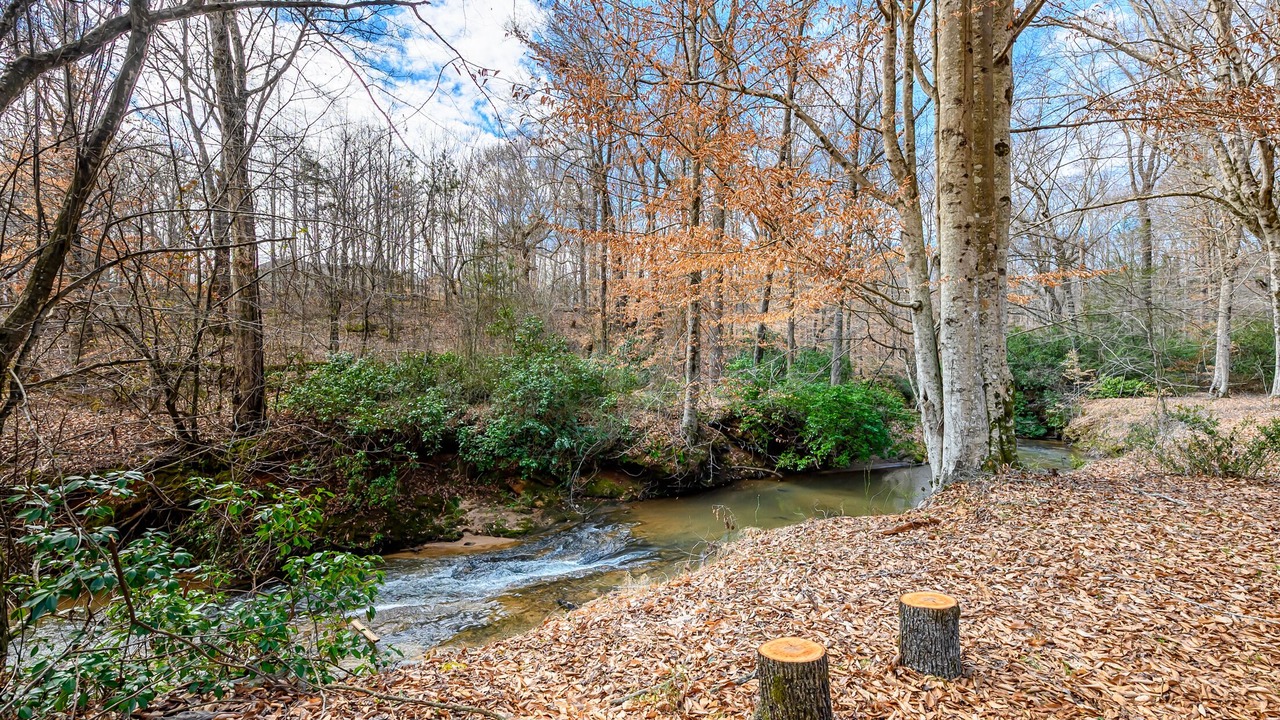 Photo of Outdoor in Pickens