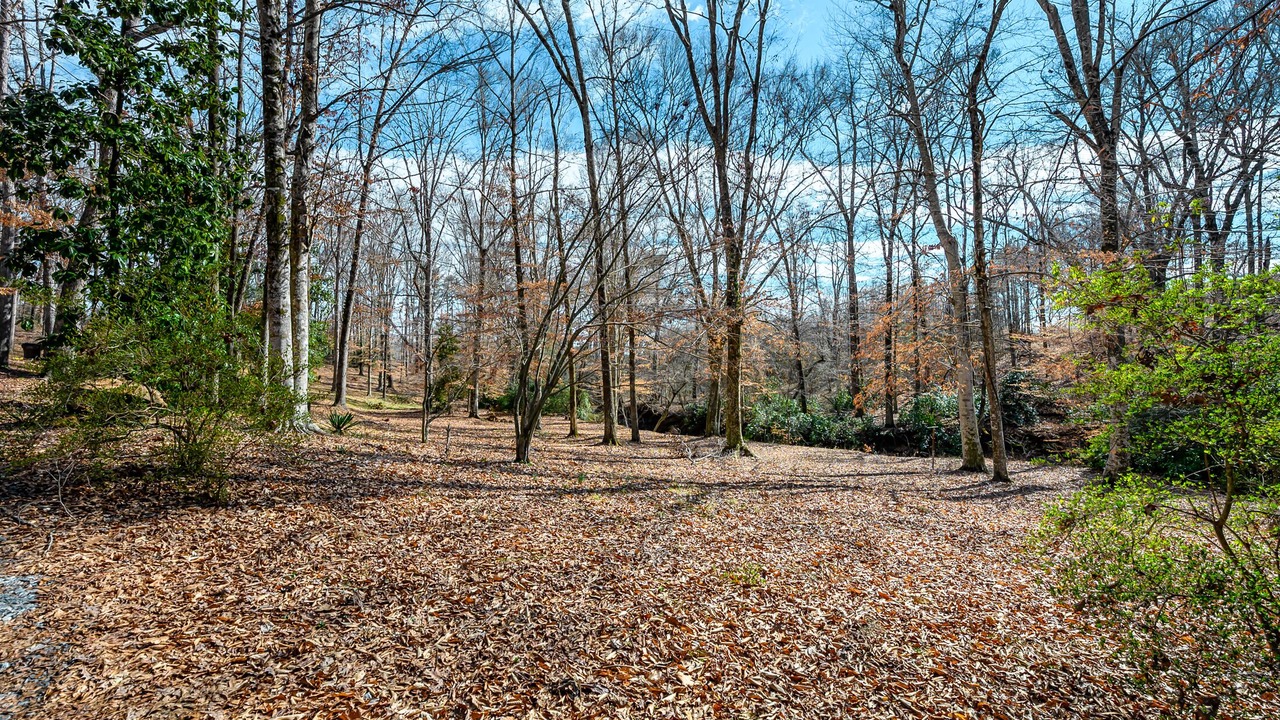 Photo of Outdoor in Pickens