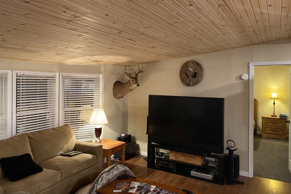 Photo of Livingroom in Nancy