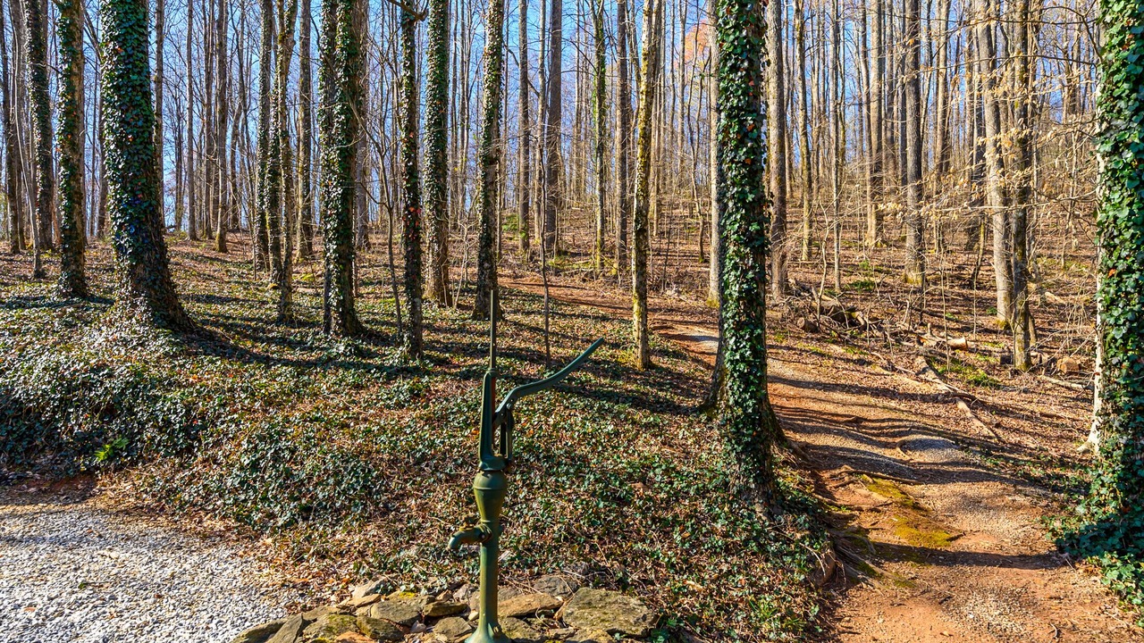 Photo of Outdoor in Tigerville