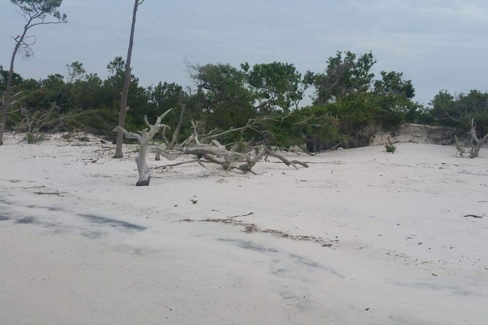 Photo of Others in Beaufort