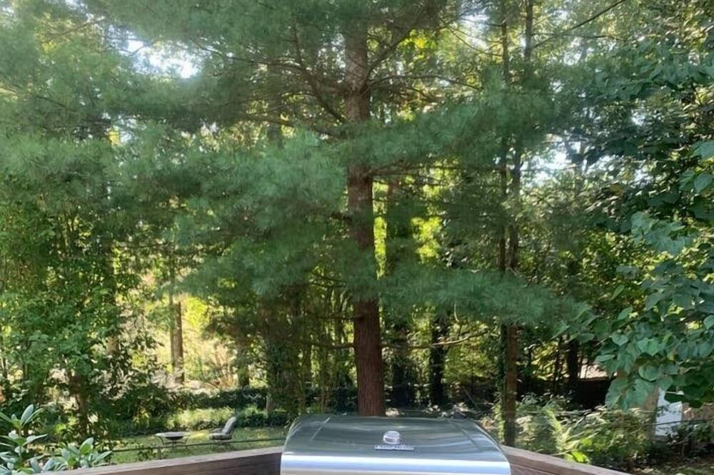 Photo of Others in Royal Pines