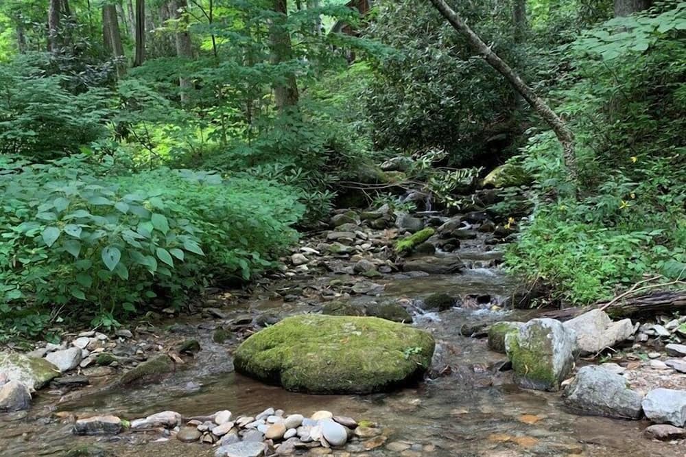 Photo of Others in Waynesville