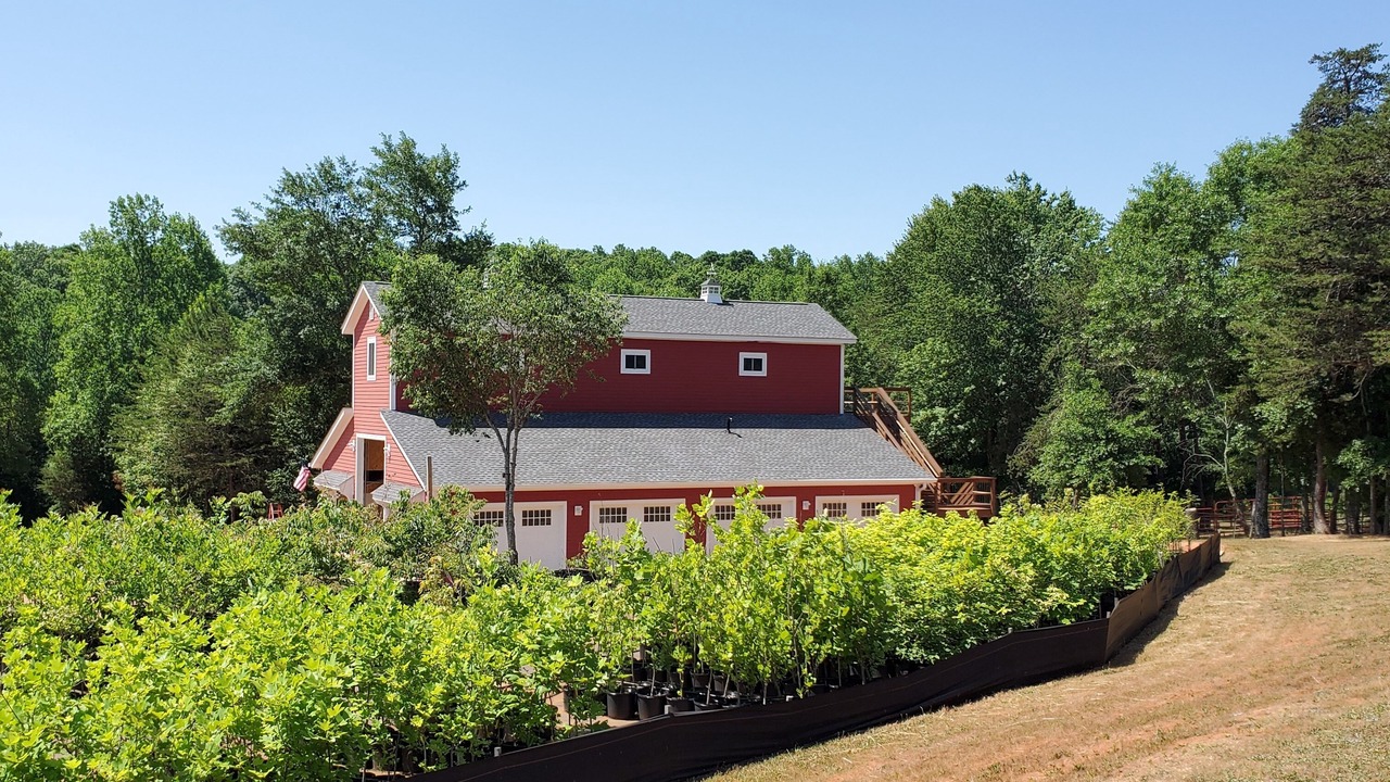 Photo of Outdoor in Taylors