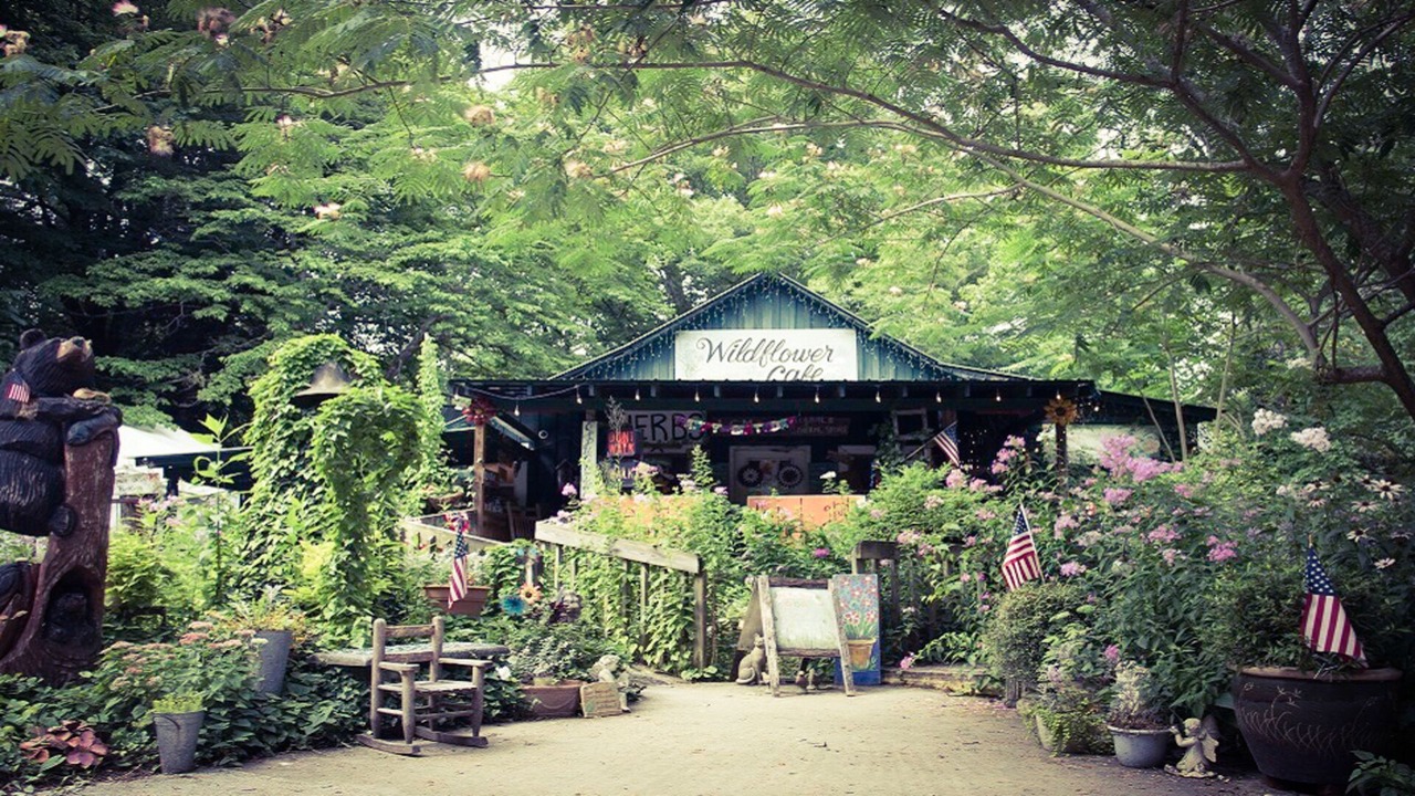 Photo of Outdoor in Menlo