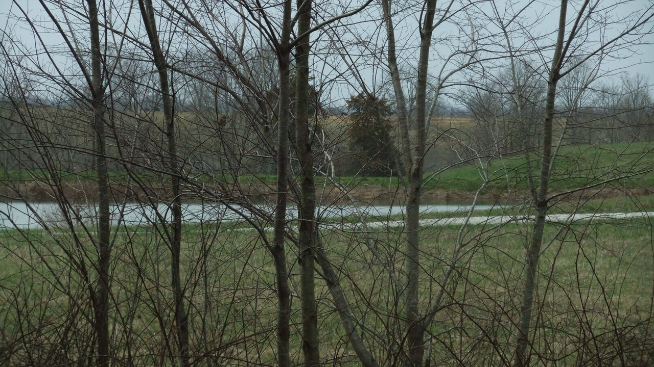 Photo of Others in Bradfordsville