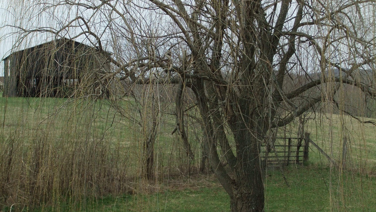 Photo of Outdoor in Bradfordsville