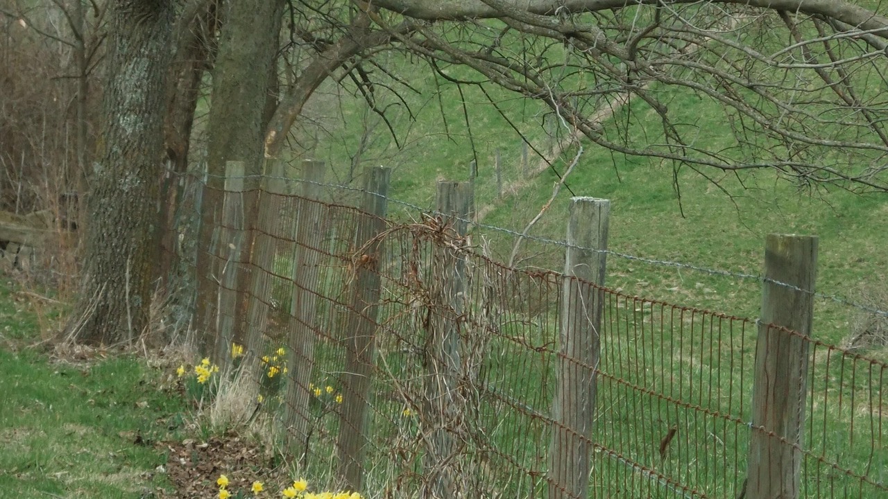 Photo of Outdoor in Bradfordsville