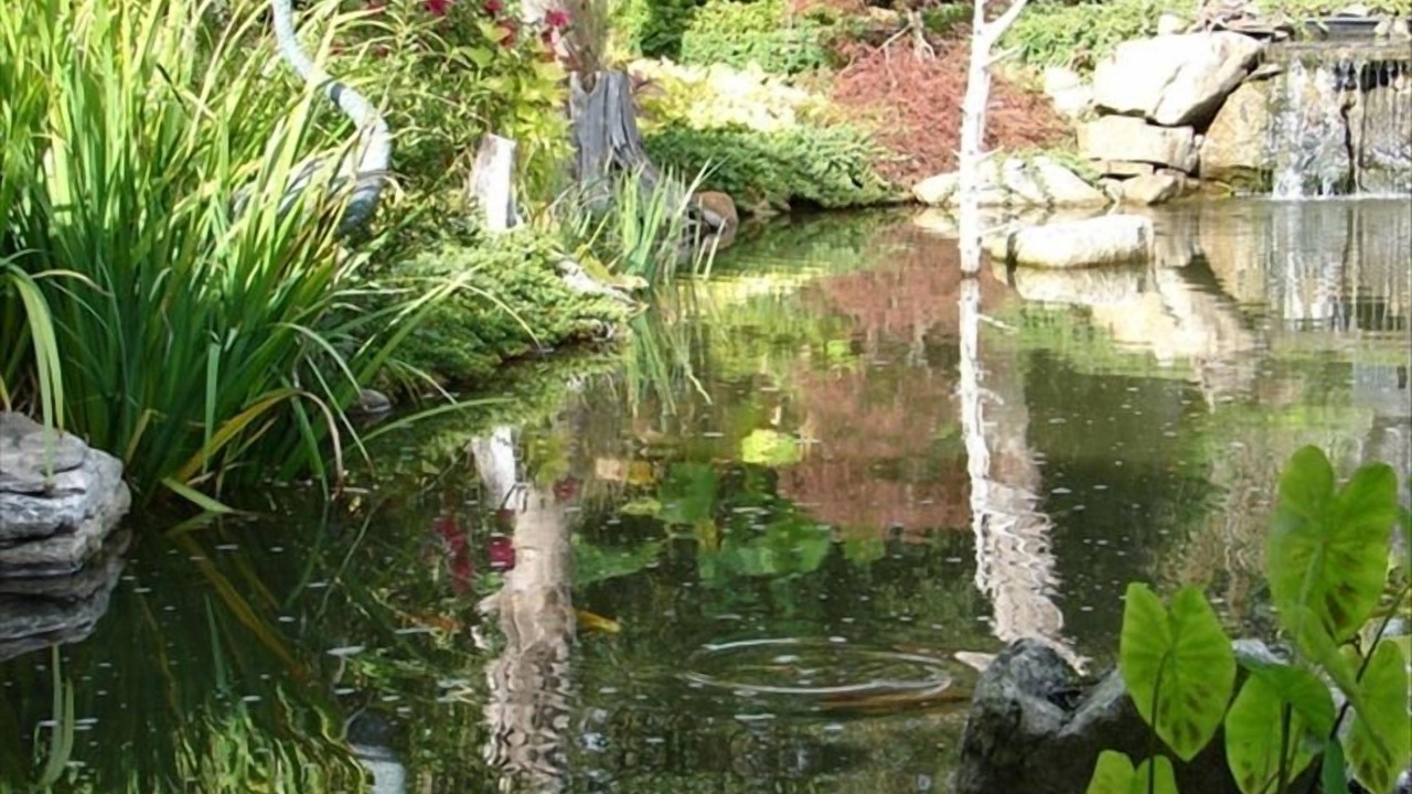 Photo of Outdoor in Wilmington
