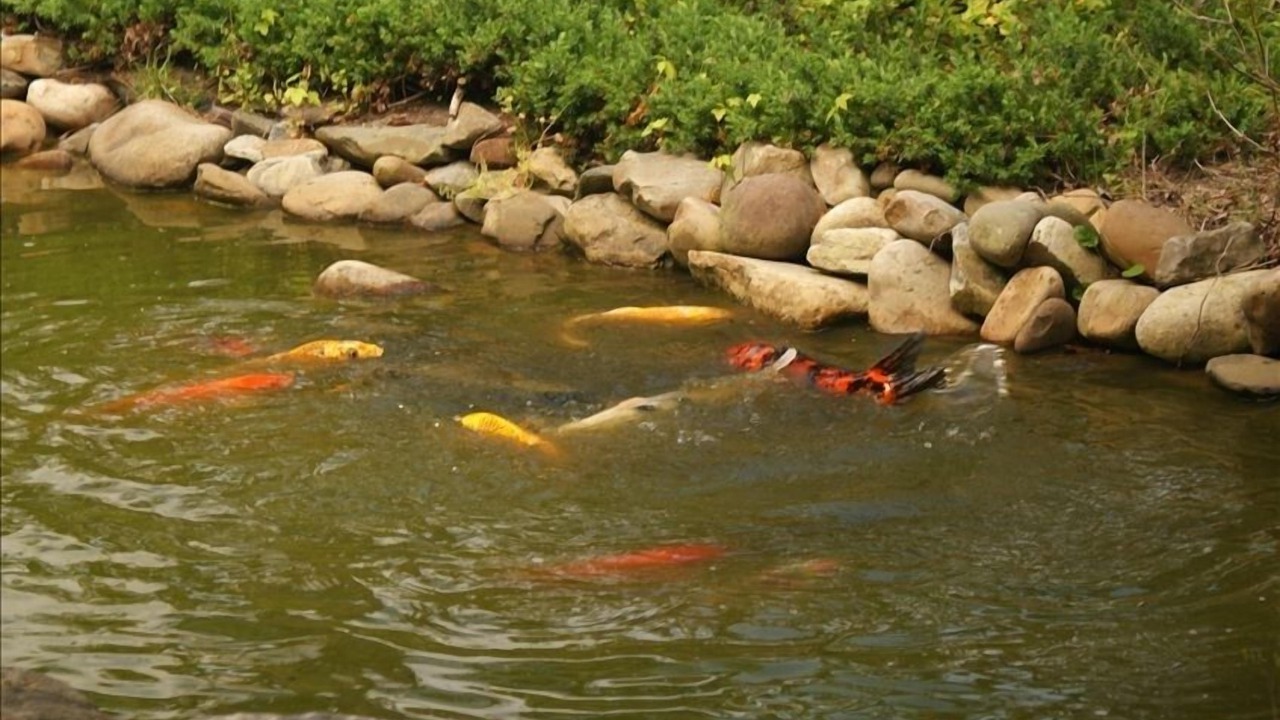 Photo of Outdoor in Wilmington