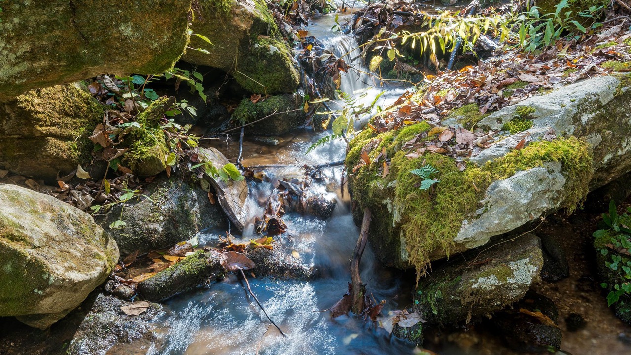 Photo of Outdoor in Bear Lake Reserve