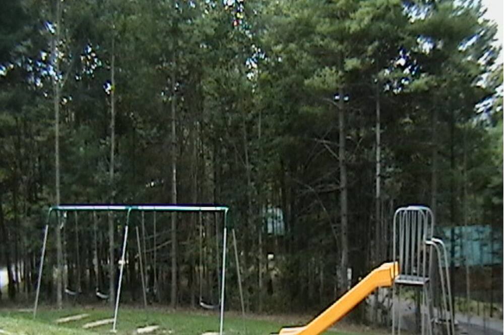 Photo of Others in Blue Jay