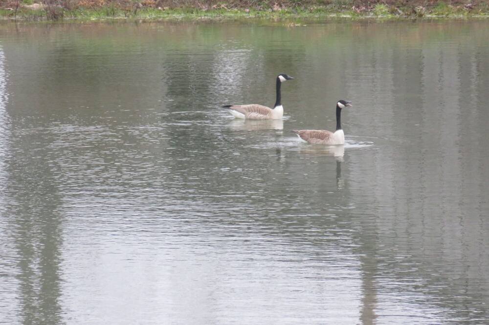 Photo of Others in East Bernstadt