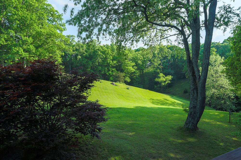 Photo of Outdoor in Asheville