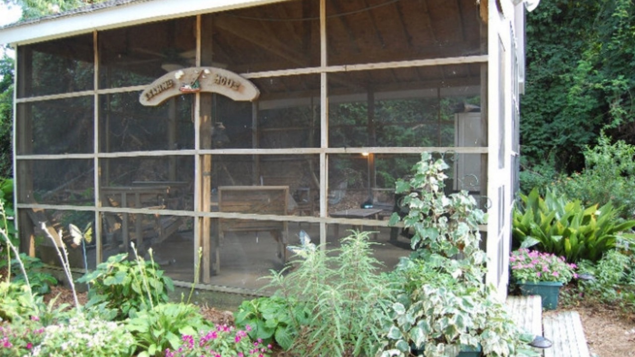 Photo of Outdoor in Wanchese