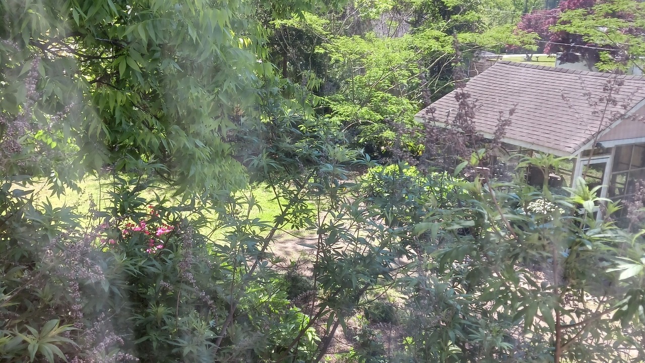 Photo of Others in Wanchese