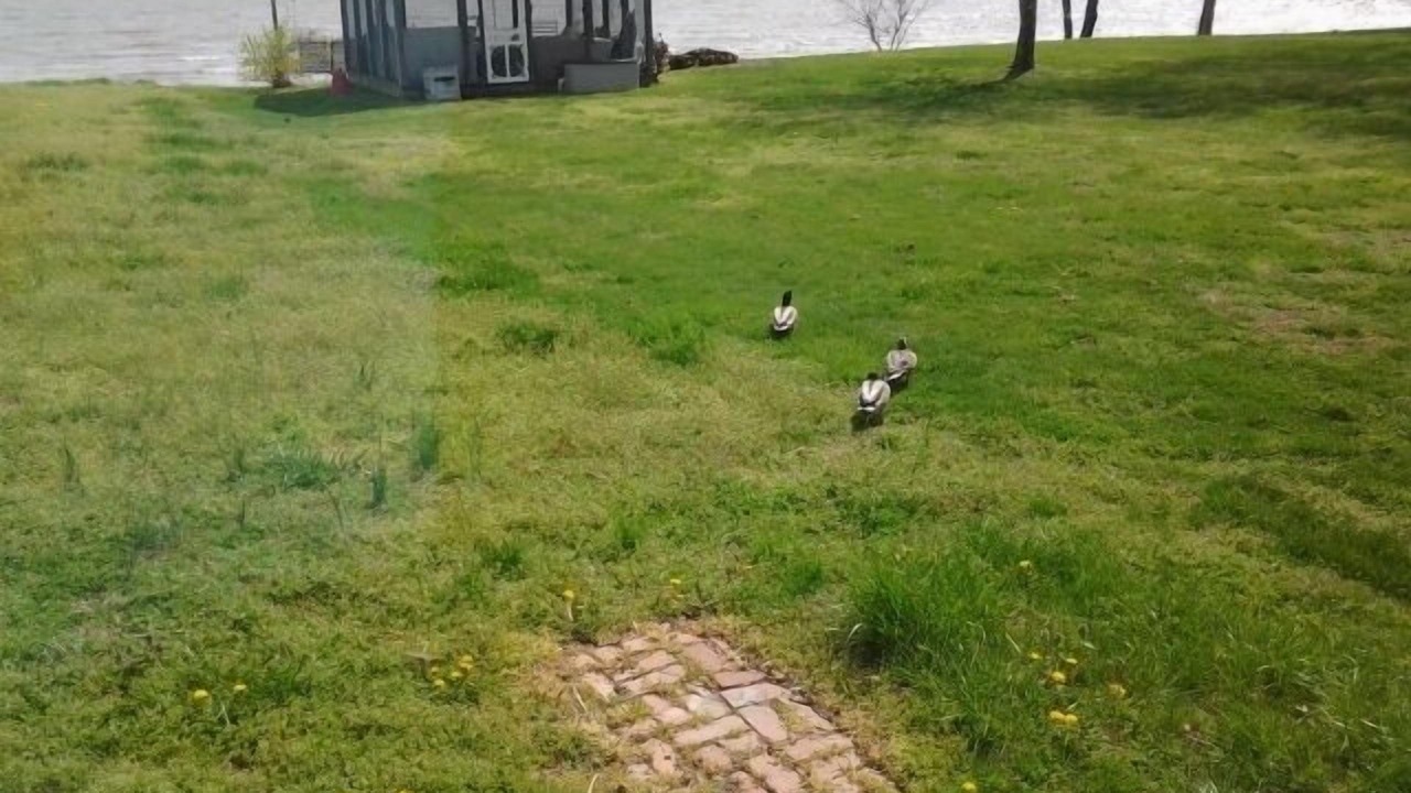 Photo of Outdoor in Colonial Beach