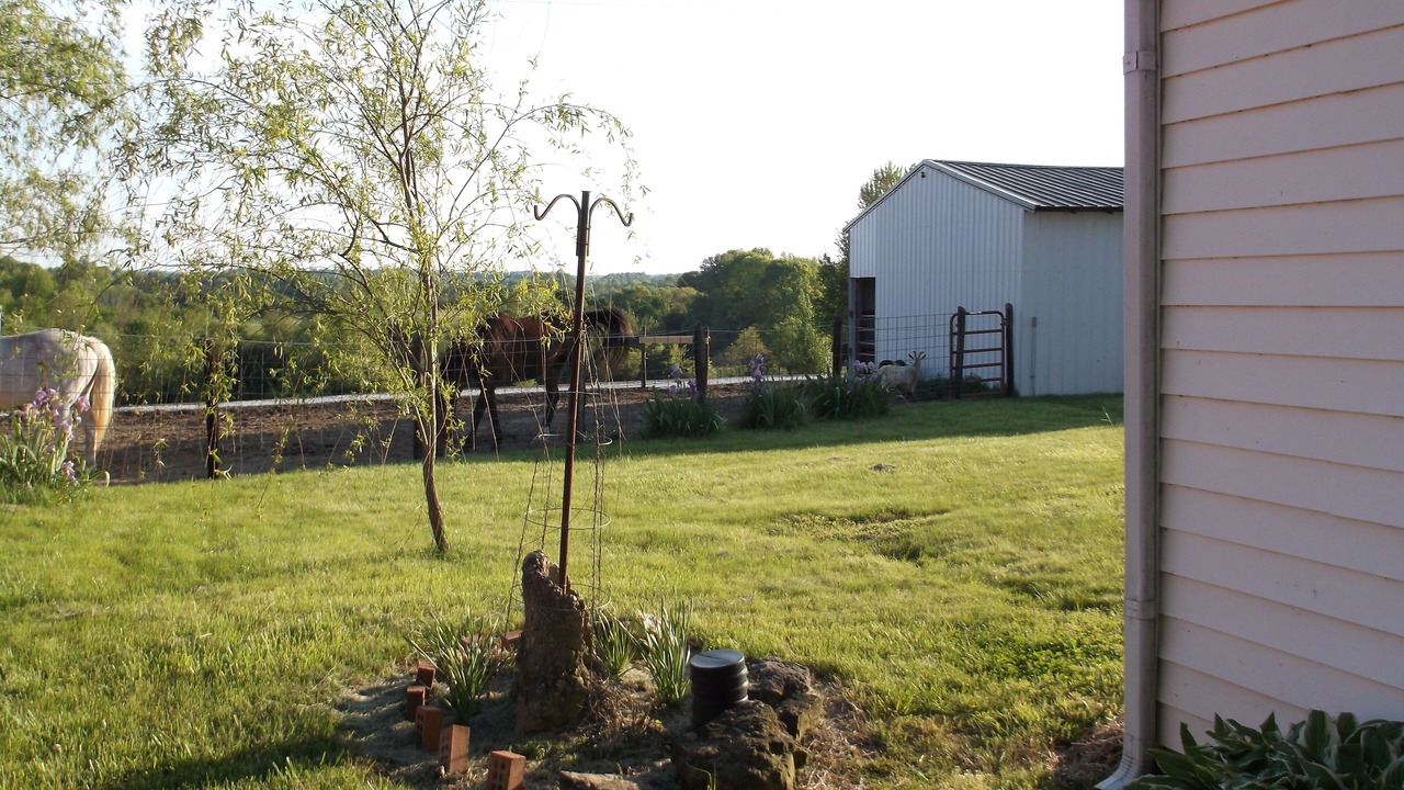 Photo of Outdoor in Fountain Run